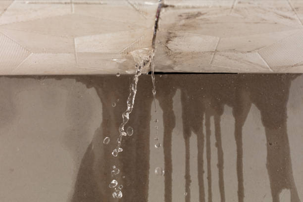 Professional Commercial Water Damage Restoration technician working in Alleman, IA
